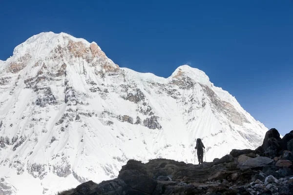Trekker στο δρόμο για την κατασκήνωση βάσης του Annapurna, Νεπάλ — Φωτογραφία Αρχείου