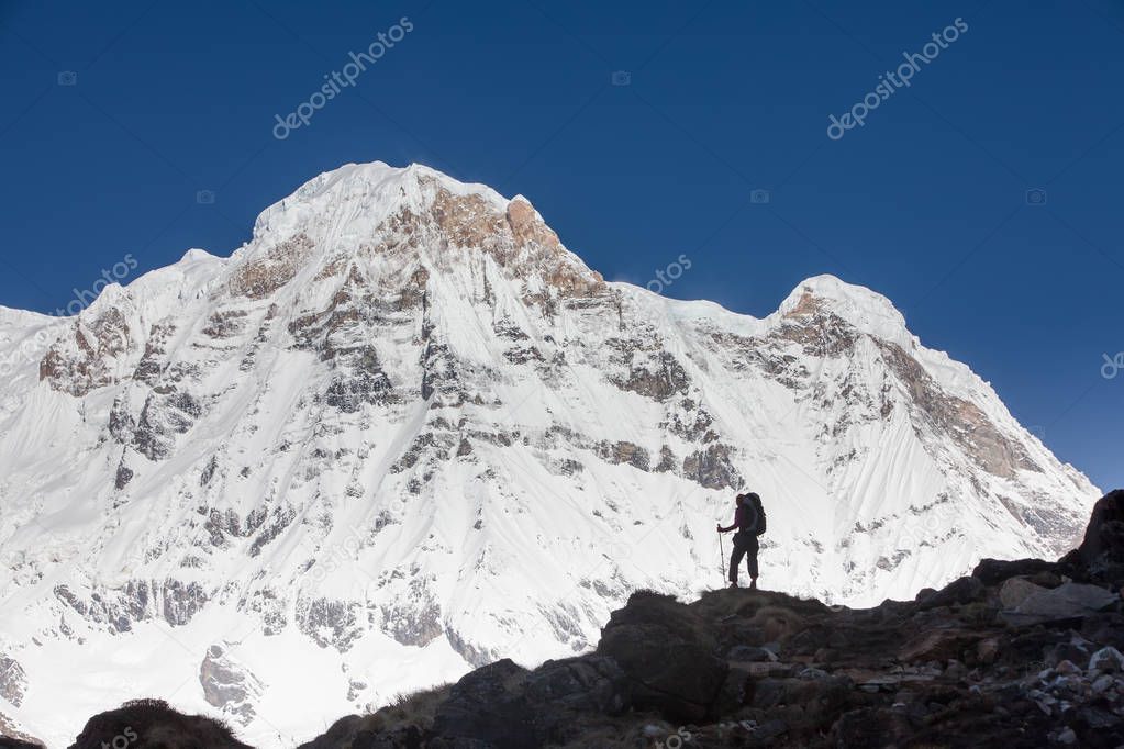 Trekker on the way to Annapurna base camp, Nepal