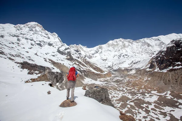 Trekker a caminho do acampamento base de Annapurna, Nepal — Fotografia de Stock