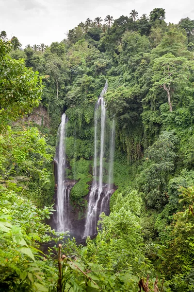 Oculto en las selvas hermosa cascada Sekumpul en Bali, Indonesi — Foto de Stock