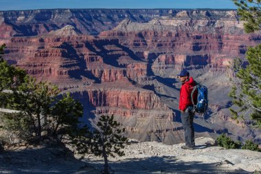 Bir uzun yürüyüşe çıkan kimse Büyük Kanyon Milli Parkı, Güney Rim, Arizona, U '