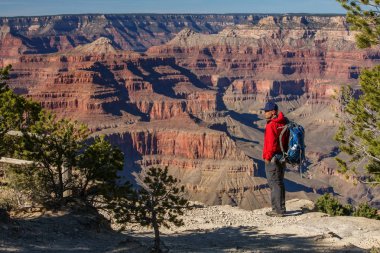 Bir uzun yürüyüşe çıkan kimse Büyük Kanyon Milli Parkı, Güney Rim, Arizona, ABD