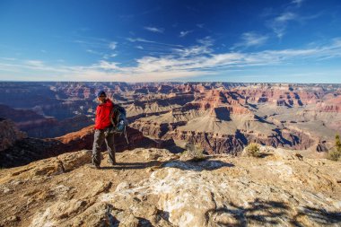 Bir uzun yürüyüşe çıkan kimse Büyük Kanyon Milli Parkı, Güney Rim, Arizona, U '