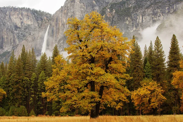 Spectacular views to the Yosemite waterfall in Yosemite National — Stock Photo, Image