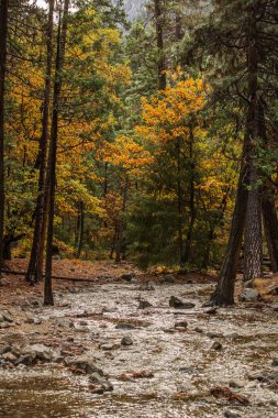 Bir baba ile bebek evlat Californa Yosemite Milli Parkı ziyaret