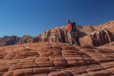 Uzun yürüyüşe çıkan kimse volkanik kar kanyon Utah, ABD eyalet parkı bir iz üzerinde