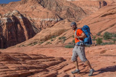 Uzun yürüyüşe çıkan kimse volkanik kar kanyon Utah, ABD eyalet parkı bir iz üzerinde