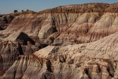 Taşlaşmış orman Milli Parkı, Arizona ABD