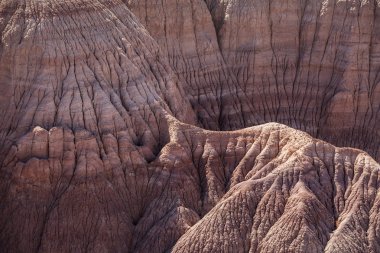 Taşlaşmış orman Milli Parkı, Arizona ABD