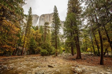 Yosemite şelale Yosemite Ulusal için muhteşem kez bakıldı