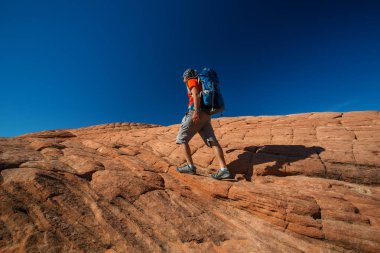 Uzun yürüyüşe çıkan kimse volkanik kar kanyon Utah, ABD eyalet parkı bir iz üzerinde