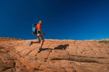 Uzun yürüyüşe çıkan kimse volkanik kar kanyon Utah, ABD eyalet parkı bir iz üzerinde