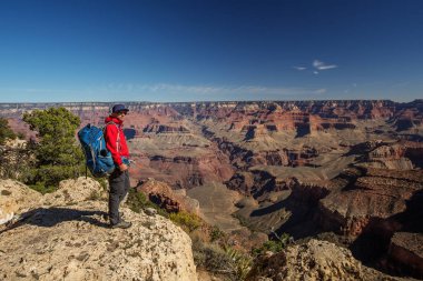 Bir uzun yürüyüşe çıkan kimse Büyük Kanyon Milli Parkı, Güney Rim, Arizona, U '