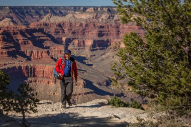 Bir uzun yürüyüşe çıkan kimse Büyük Kanyon Milli Parkı, Güney Rim, Arizona, U '