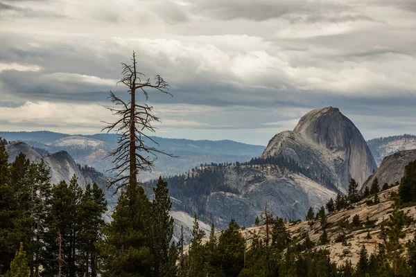 A father with baby son visit Yosemite National Park in Californa — Stock Photo, Image