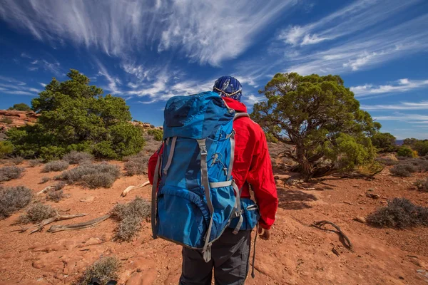 등산객에 Canyonlands 국립 공원 유타, 미국 — 스톡 사진