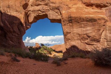 Çam ağacı arch Arches National Park Utah, ABD