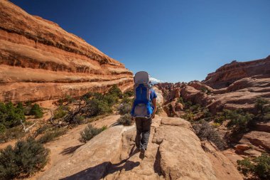 Uzun yürüyüşe çıkan kimse Arches National park Utah, ABD aittir