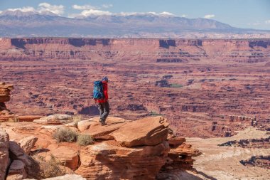 Uzun yürüyüşe çıkan kimse Canyonlands Milli Parkı'nda Utah, ABD