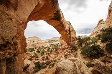 Hickman doğal Köprüsü Utah, ABD Capitol resif ulusal park manzarası