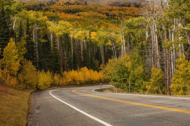 Dağlık doğal görünümüne karanlık yol 12 Utah, ABD tarihinde