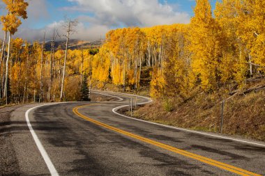 Dağlık doğal görünümüne karanlık yol 12 Utah, ABD tarihinde