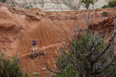 Uzun yürüyüşe çıkan kimse Kodachrome havza Devlet Park Utah, ABD