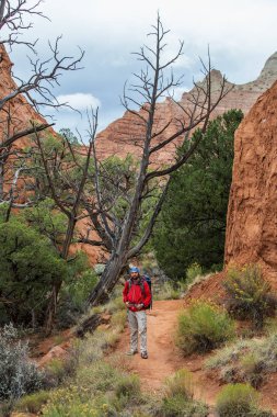 Uzun yürüyüşe çıkan kimse Kodachrome havza Devlet Park Utah, ABD