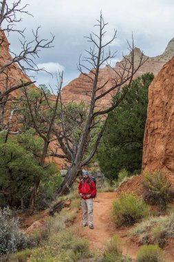 Uzun yürüyüşe çıkan kimse Kodachrome havza Devlet Park Utah, ABD