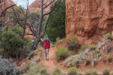 Uzun yürüyüşe çıkan kimse Kodachrome havza Devlet Park Utah, ABD