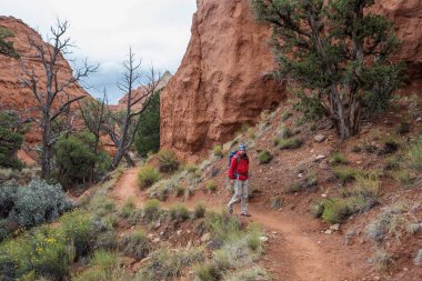 Uzun yürüyüşe çıkan kimse Kodachrome havza Devlet Park Utah, ABD