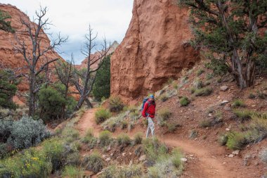 Uzun yürüyüşe çıkan kimse Kodachrome havza Devlet Park Utah, ABD
