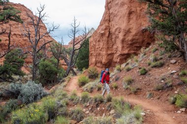 Uzun yürüyüşe çıkan kimse Kodachrome havza Devlet Park Utah, ABD