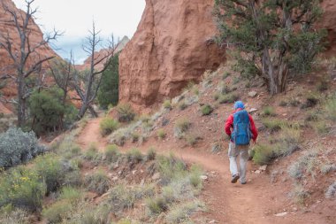Uzun yürüyüşe çıkan kimse Kodachrome havza Devlet Park Utah, ABD