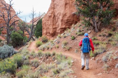 Uzun yürüyüşe çıkan kimse Kodachrome havza Devlet Park Utah, ABD