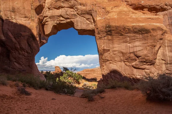 Çam ağacı arch Arches National Park Utah, ABD