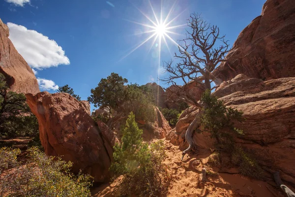 Parc National Des Arches Dans Utah États Unis — Photo