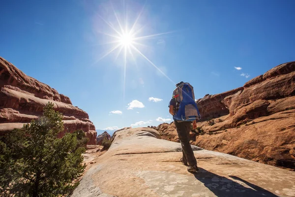 Hiker Vilar Arches National Park Utah Usa — Stockfoto