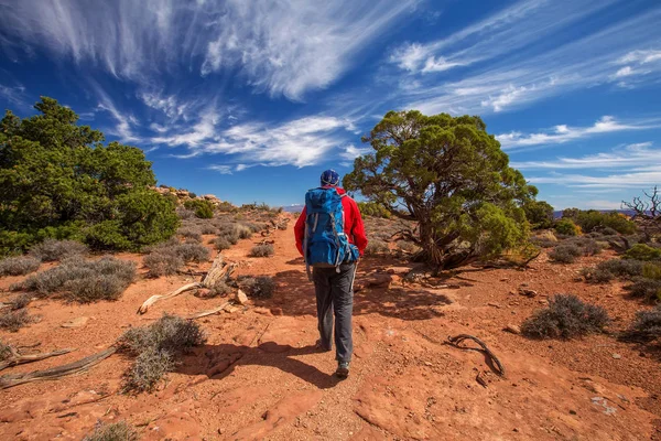 Senderista Parque Nacional Canyonlands Utah — Foto de Stock