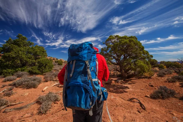 Vandrare Canyonlands Nationalpark Utah Usa — Stockfoto