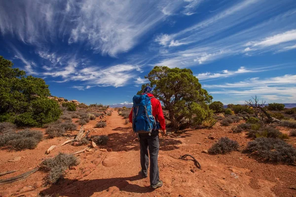 Senderista Parque Nacional Canyonlands Utah — Foto de Stock