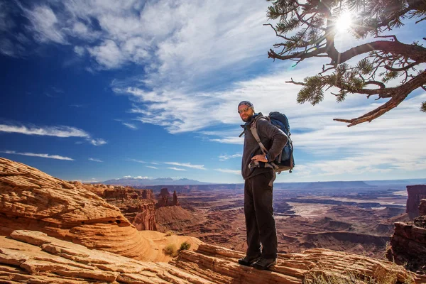 Uzun yürüyüşe çıkan kimse Canyonlands Milli Parkı'nda Utah, ABD