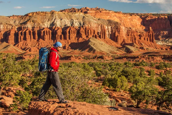 Uzun Yürüyüşe Çıkan Kimse Utah Abd Capitol Resif Ulusal Park — Stok fotoğraf