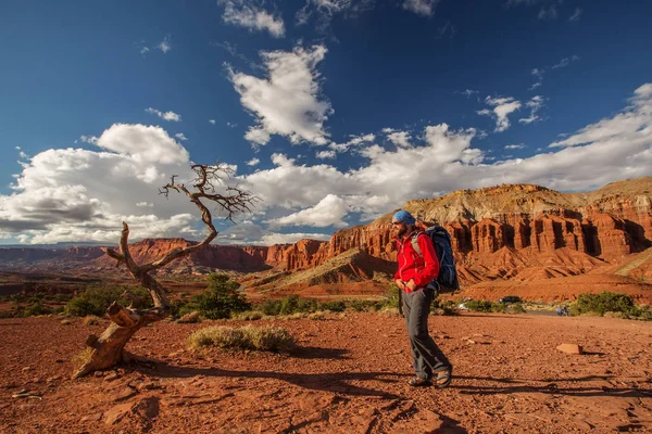 Vandrare Capitol Reef National Park Utah Usa — Stockfoto