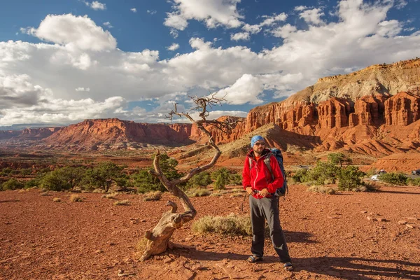 Vandrare Capitol Reef National Park Utah Usa — Stockfoto