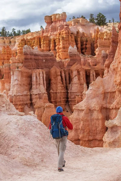 Hiker Visits Bryce Canyon National Park Utah Usa — Stock Photo, Image