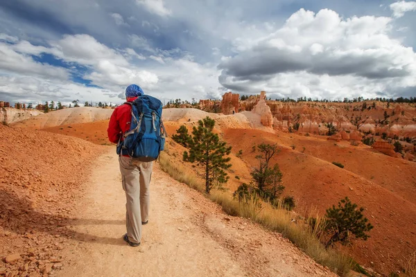 Hiker visits Bryce canyon National park in Utah, USA — Stock Photo, Image