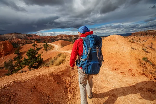 Caminante visita el Parque Nacional Bryce canyon en Utah, EE.UU. — Foto de Stock