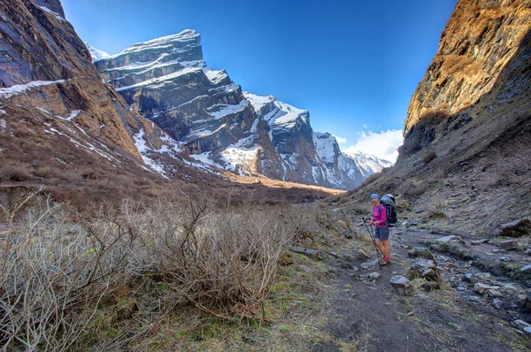 Trekker en el valle en el camino al campamento base de Annapurna, Nepal — Foto de Stock