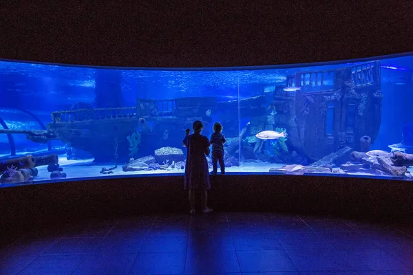 Famiglia che osserva i pesci all'acquario — Foto Stock